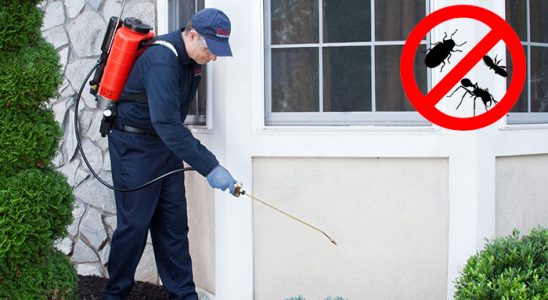Hendek Dezenfeksiyon böcek ilaçlama ve haşere kontrolü — ilaclama-tr.com